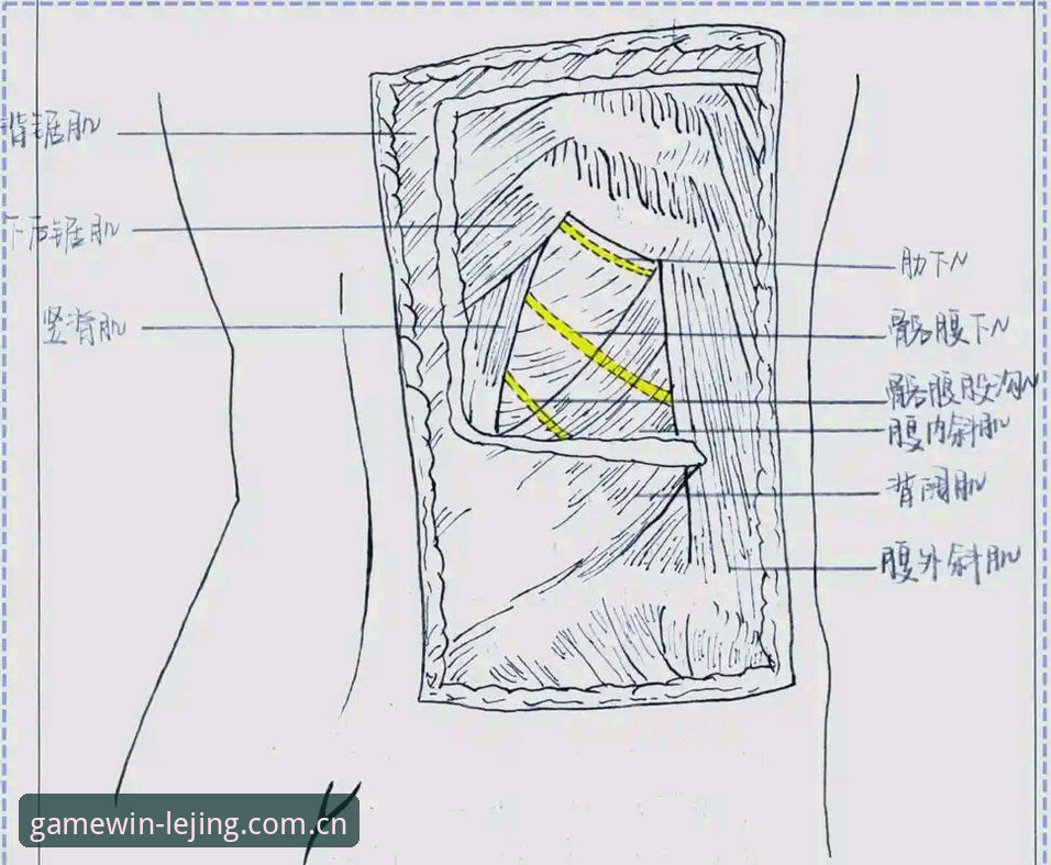 乐竞体育官方中文版CN下载手机版 深度解剖:当生命警报在绿茵场响起——用乐竞体育官方中文版CN下载手机版回看埃里克森事件的三个决策点