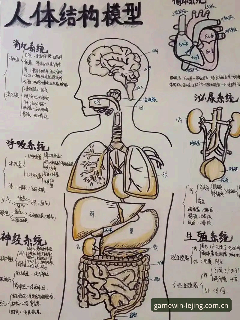 乐竞体育官方中文版CN下载手机版 深度解剖:当生命警报在绿茵场响起——用乐竞体育官方中文版CN下载手机版回看埃里克森事件的三个决策点
